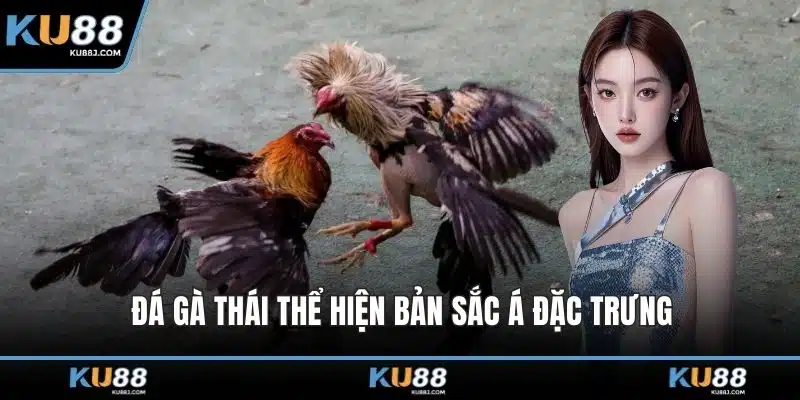 Đá Gà KU88 – Cuộc Đọ Sức Kịch Tính Giữa Những Chiến Kê 3 Đá gà Thái thể hiện bản sắc Á đặc trưng