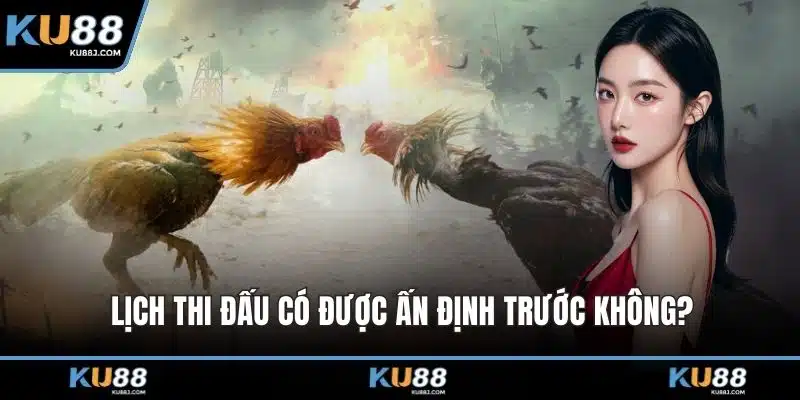 Đá Gà KU88 – Cuộc Đọ Sức Kịch Tính Giữa Những Chiến Kê 5 Lịch thi đấu có được ấn định trước không?