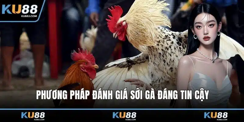 Đá Gà Thomo – Địa Điểm Lý Tưởng Cho Trận Đấu Kịch Tính 3 Phương pháp đánh giá sới gà đáng tin cậy