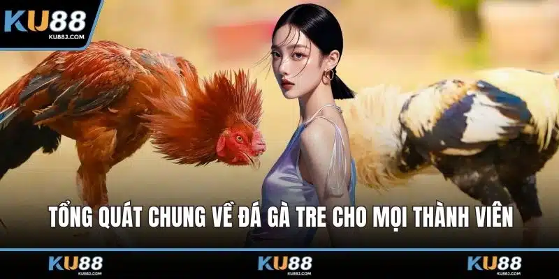 Đá Gà Tre – Thông Tin Và Kinh Nghiệm Chọn Chiến Kê 1 Tổng quát chung về đá gà tre cho mọi thành viên